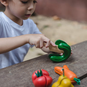 Wonky Fruit & Veg Set-PlanToys-Modern Rascals
