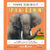 Young Zoologist - African Elephant - A First Field Guide to the Big-Eared Giant of the Savanna-Raincoast Books-Modern Rascals