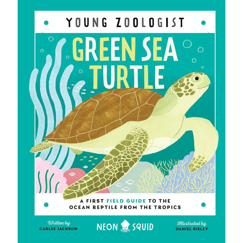 Young Zoologist - Green Sea Turtle - A First Field Guide to the Ocean Reptile from the Tropics-Raincoast Books-Modern Rascals