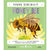 Young Zoologist - Honey Bee - A First Field Guide to the World's Favorite Pollinating Insect-Raincoast Books-Modern Rascals